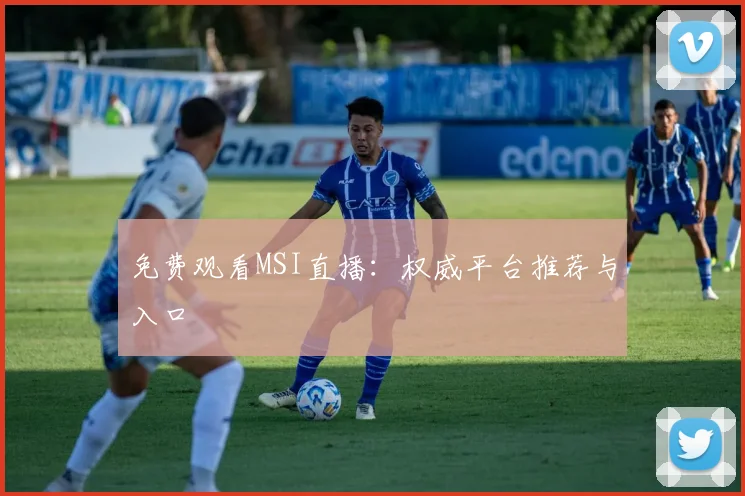 免费观看MSI直播：权威平台推荐与入口