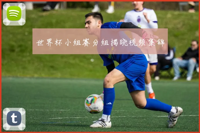 世界杯小组赛分组揭晓视频集锦